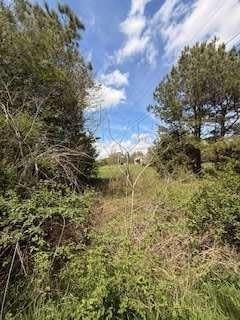390 Fields Road Property Photo 7