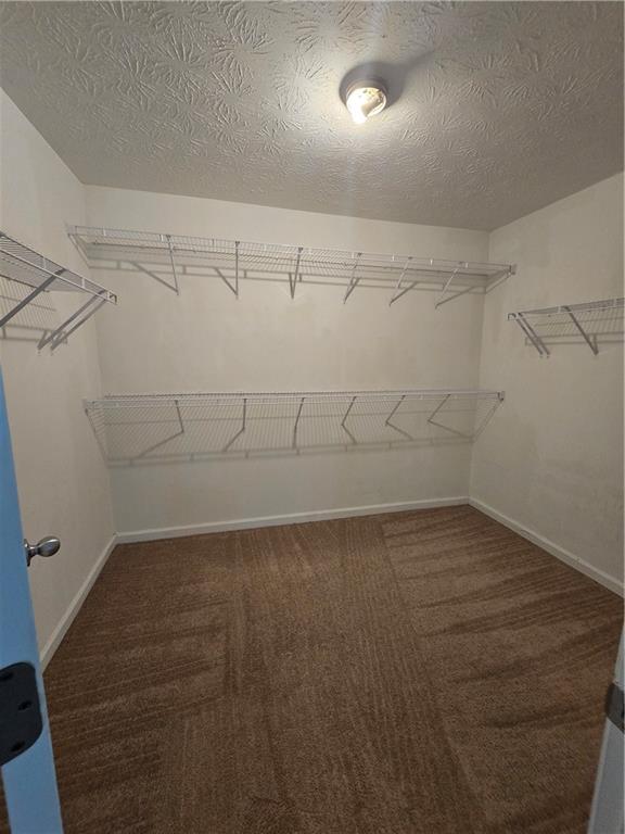 3464 Pinegate Trail Property Photo 15