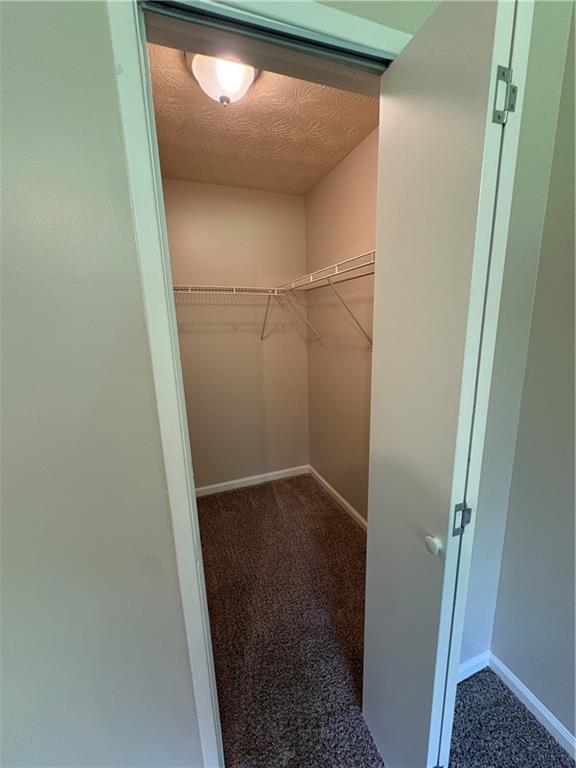 2892 Haddon Drive Property Photo 17