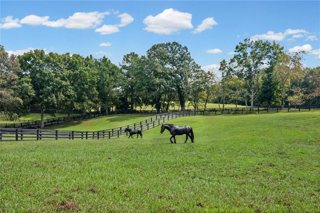 1040 Little River Way Property Photo 69