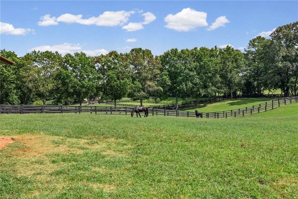 1040 Little River Way Property Photo 70