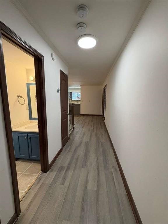 1702 Pine Tree Drive Property Photo 13