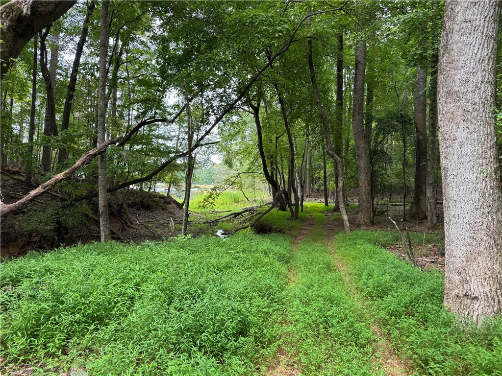 7827825 Property Photo 29
