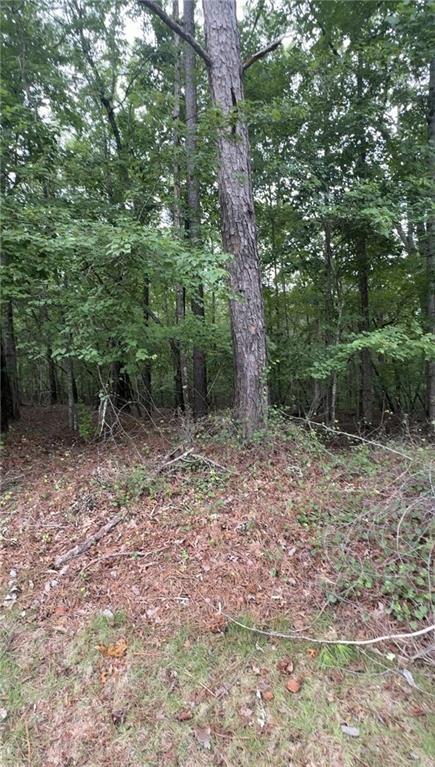 5850 Double Birch Property Photo 1