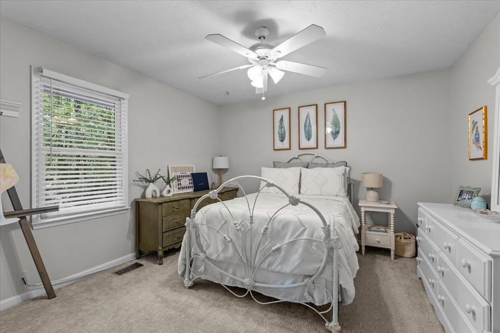 103 Cathy Circle Property Photo 33