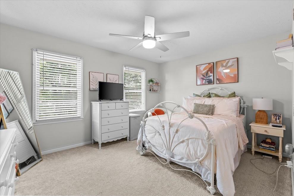 103 Cathy Circle Property Photo 34