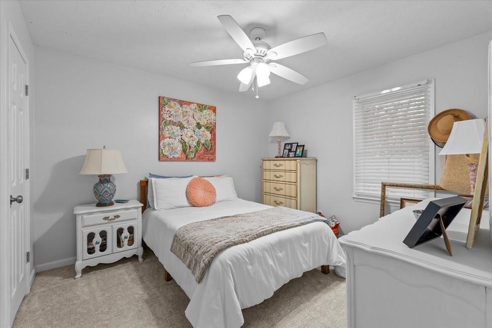 103 Cathy Circle Property Photo 37
