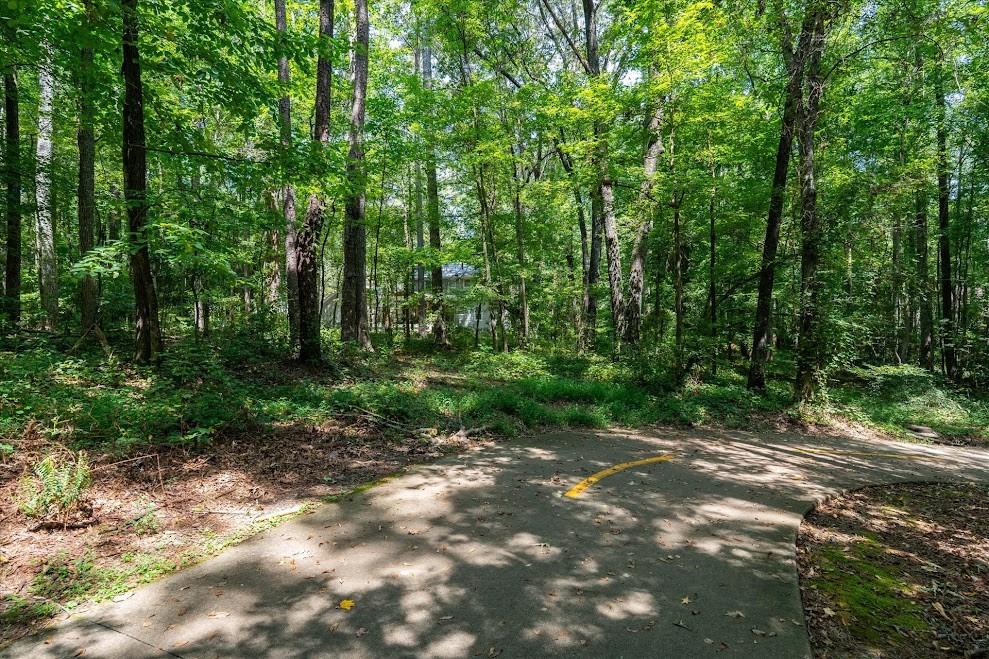 103 Cathy Circle Property Photo 50