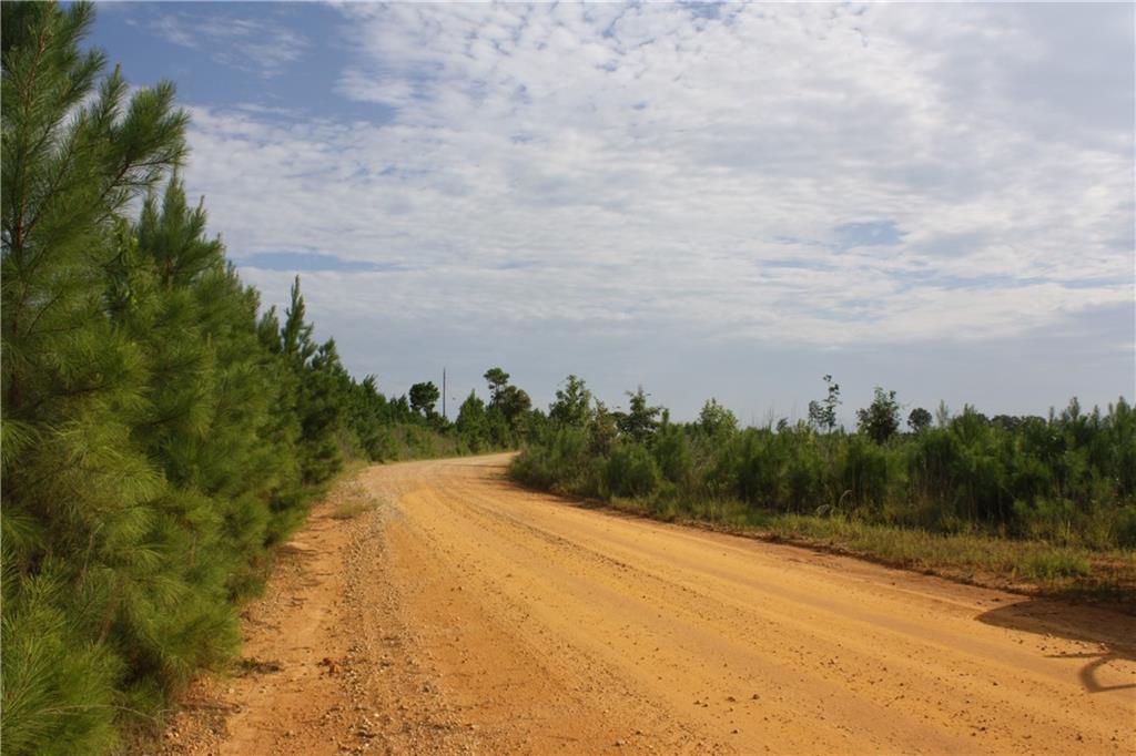 0 Balerma Church Road Property Photo 1
