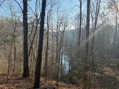 0 Elk Trail Property Photo 4