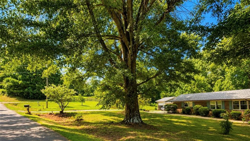 3931 Green Drive Property Photo 4