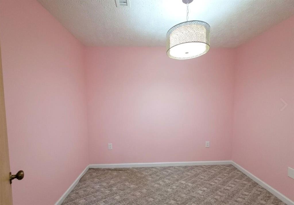 151 Tiny Ridge Drive Property Photo 29