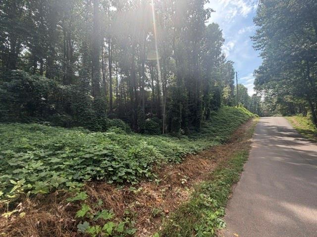 0 Quail Mountain Trail Property Photo 2
