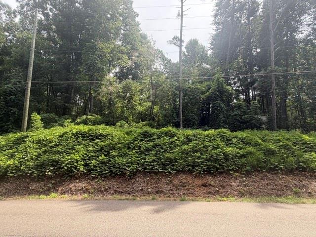 0 Quail Mountain Trail Property Photo 3