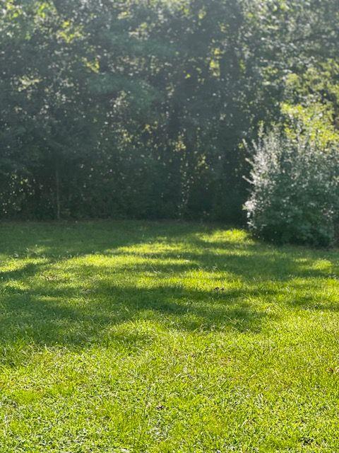 222 Taylor Circle Property Photo 16