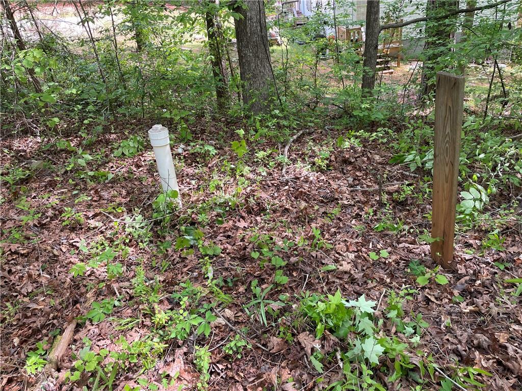 225 White Birch Drive Property Photo 1