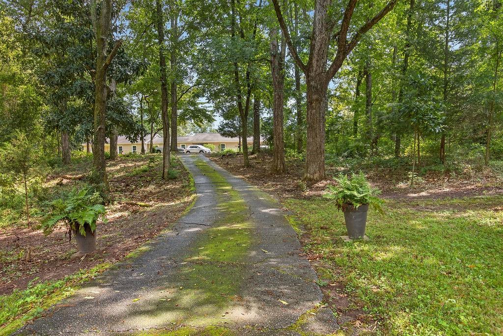 154 Ga Highway 49 Property Photo 26