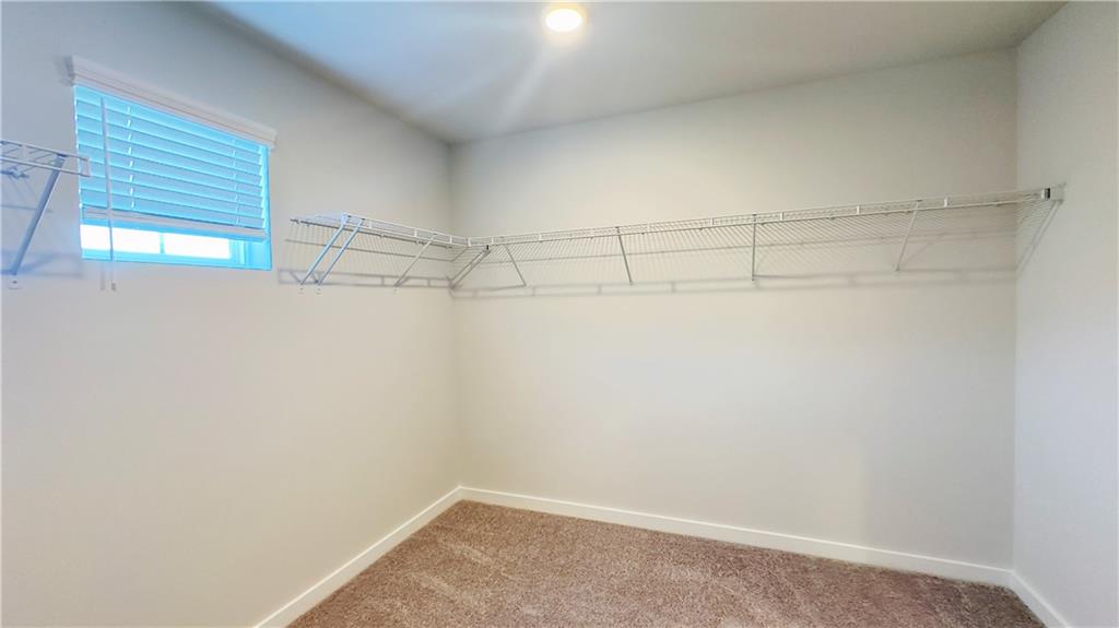 2389 Brown Dove Way Property Photo 26