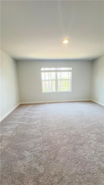 2389 Brown Dove Way Property Photo 28
