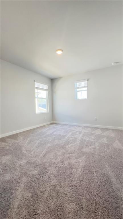 2389 Brown Dove Way Property Photo 29