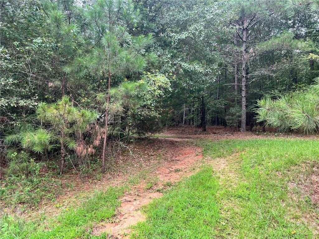 1383 Sims Road Property Photo 2