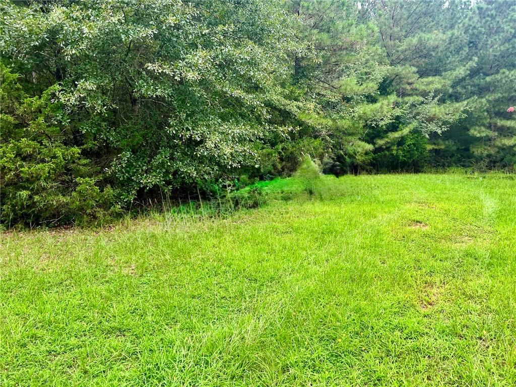 1383 Sims Road Property Photo 5
