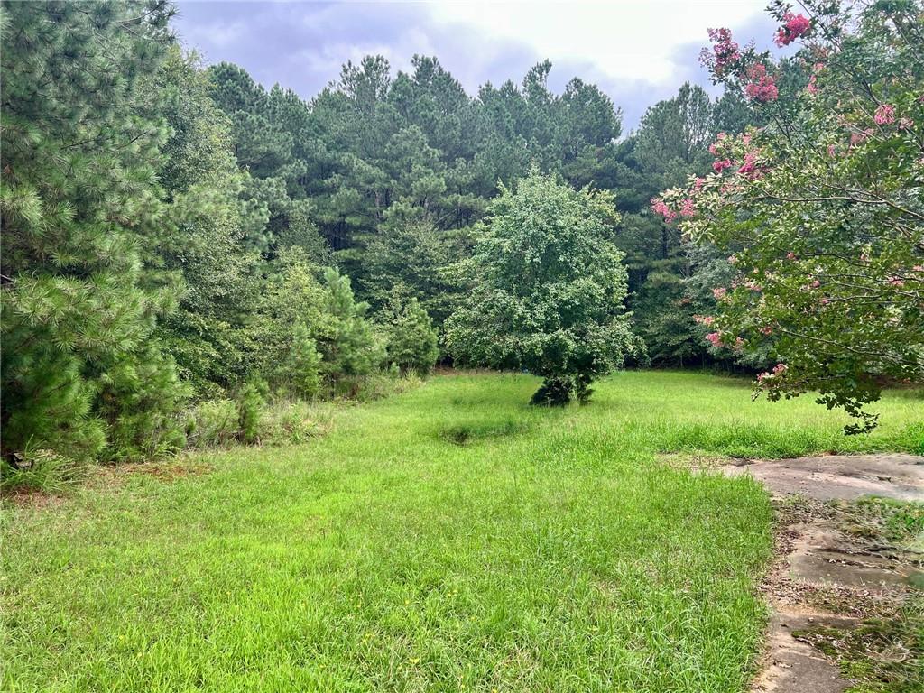 1383 Sims Road Property Photo 6