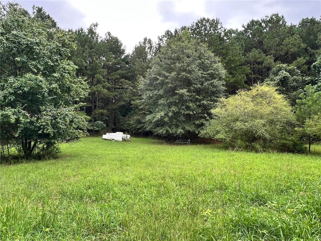 1383 Sims Road Property Photo 8