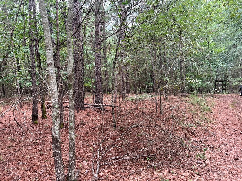 1383 Sims Road Property Photo 10
