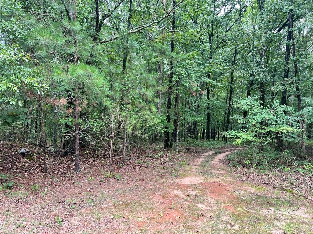 1383 Sims Road Property Photo 12