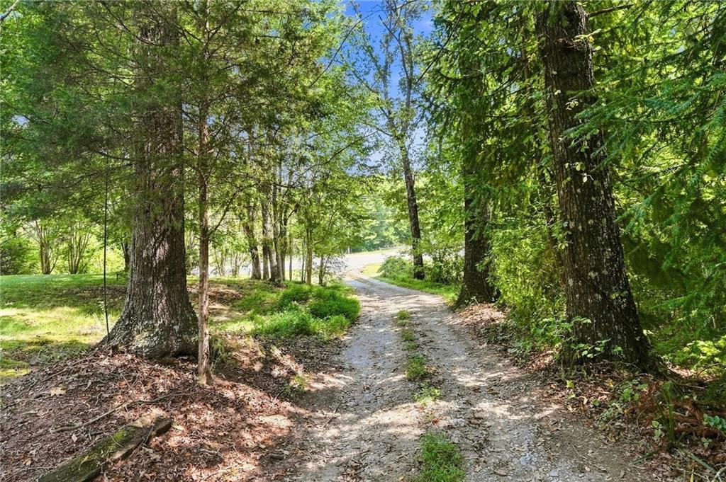 7018 Highway 27 Property Photo 4