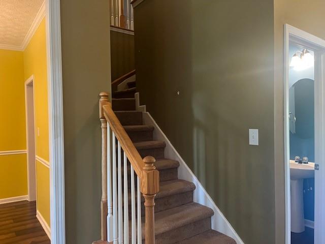 107 Meadows Drive Property Photo 17