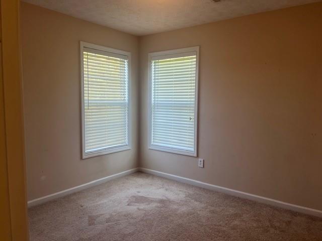 107 Meadows Drive Property Photo 22