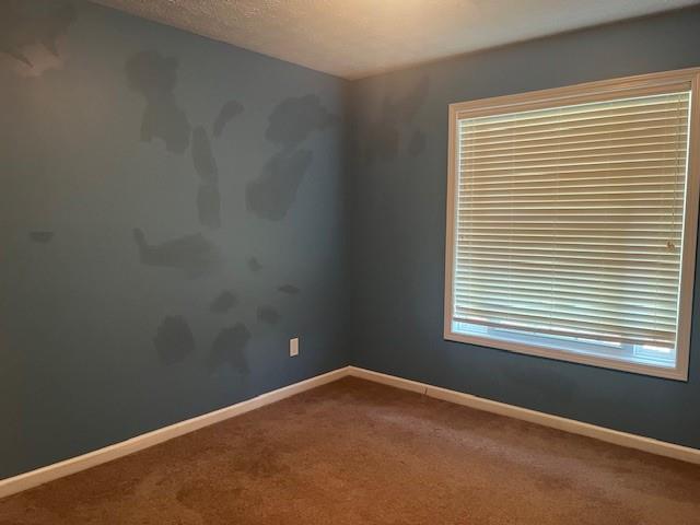 107 Meadows Drive Property Photo 24