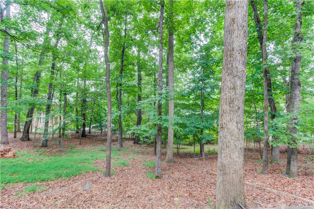 1920 Woods River Lane Property Photo 62