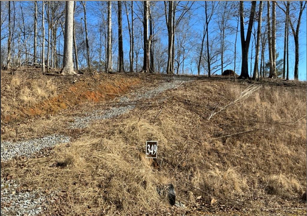 Lt 349 Reel Rd Property Photo 1