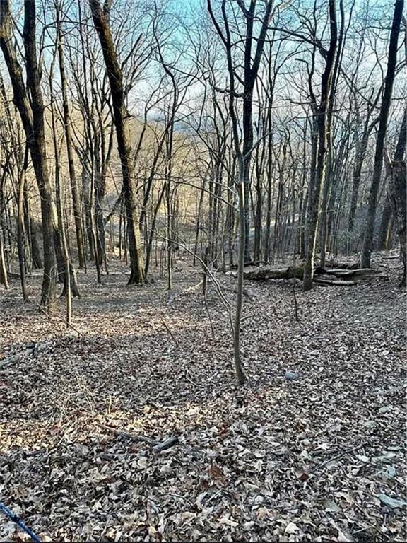 1649 Moss Patch Trail Property Photo 3