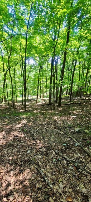 1649 Moss Patch Trail Property Photo 4