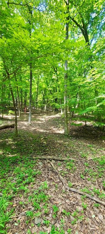 1649 Moss Patch Trail Property Photo 5