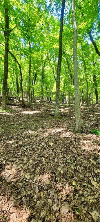 1649 Moss Patch Trail Property Photo 6