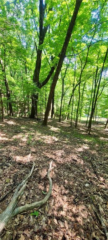 1649 Moss Patch Trail Property Photo 7