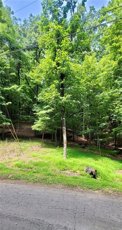 1649 Moss Patch Trail Property Photo 8