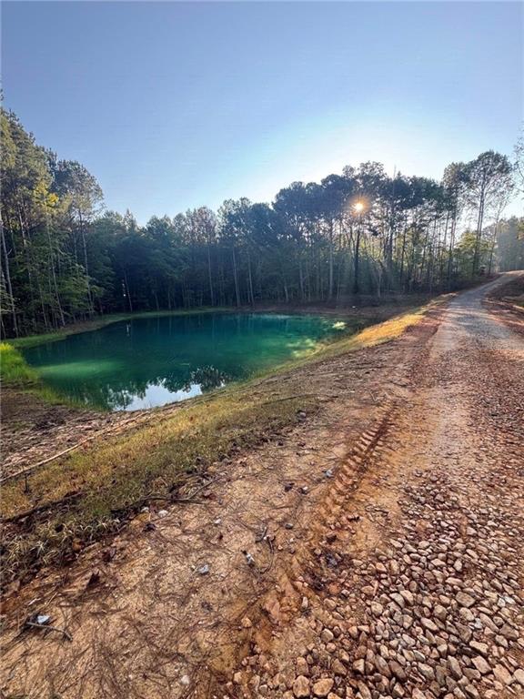 224 Holly Pond Path Property Photo 8