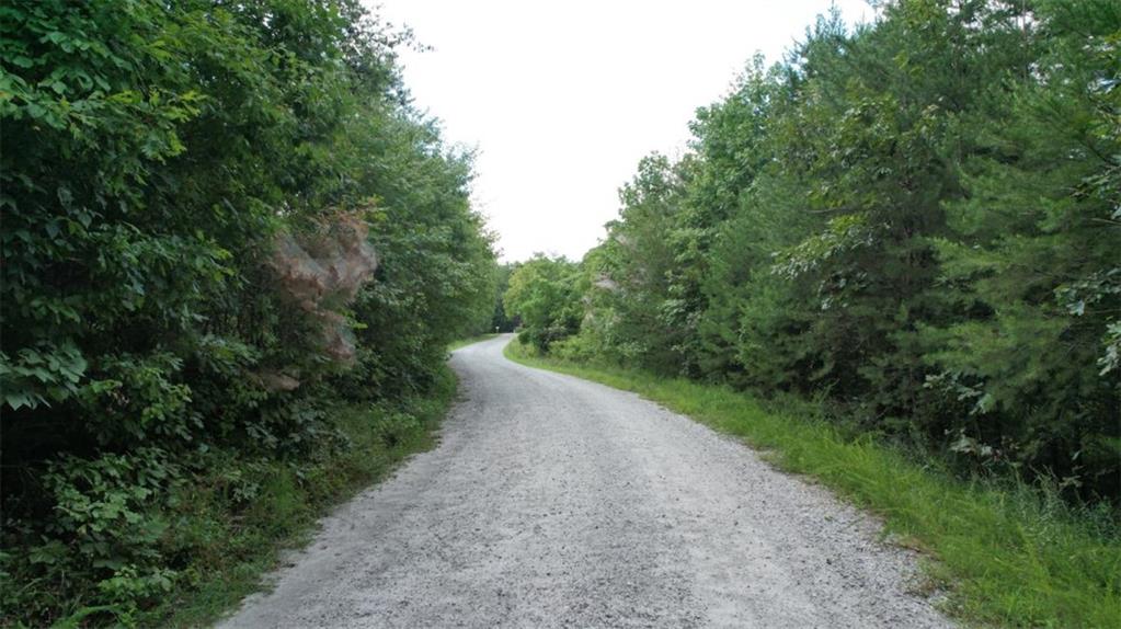 930 Cantrell Road Property Photo 35