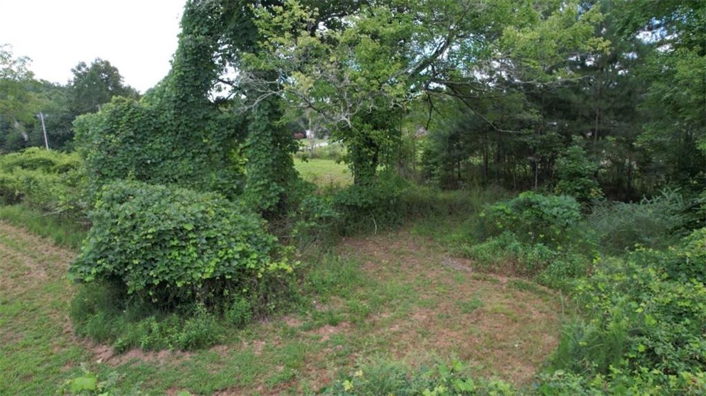 930 Cantrell Road Property Photo 38
