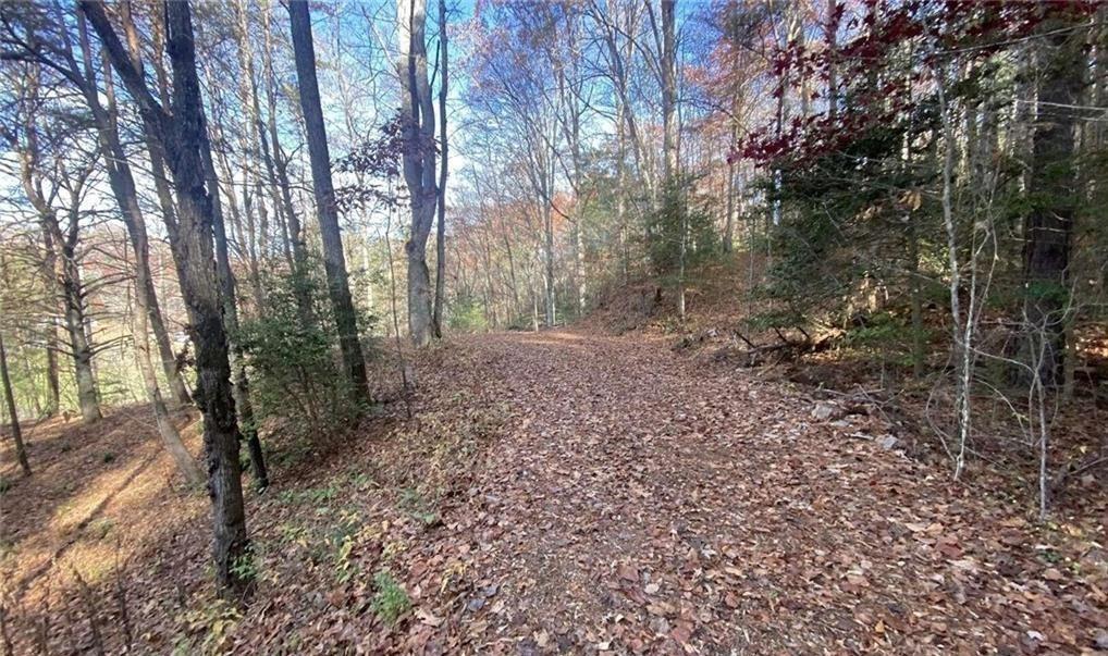 1 Barefoot Hills Property Photo 1