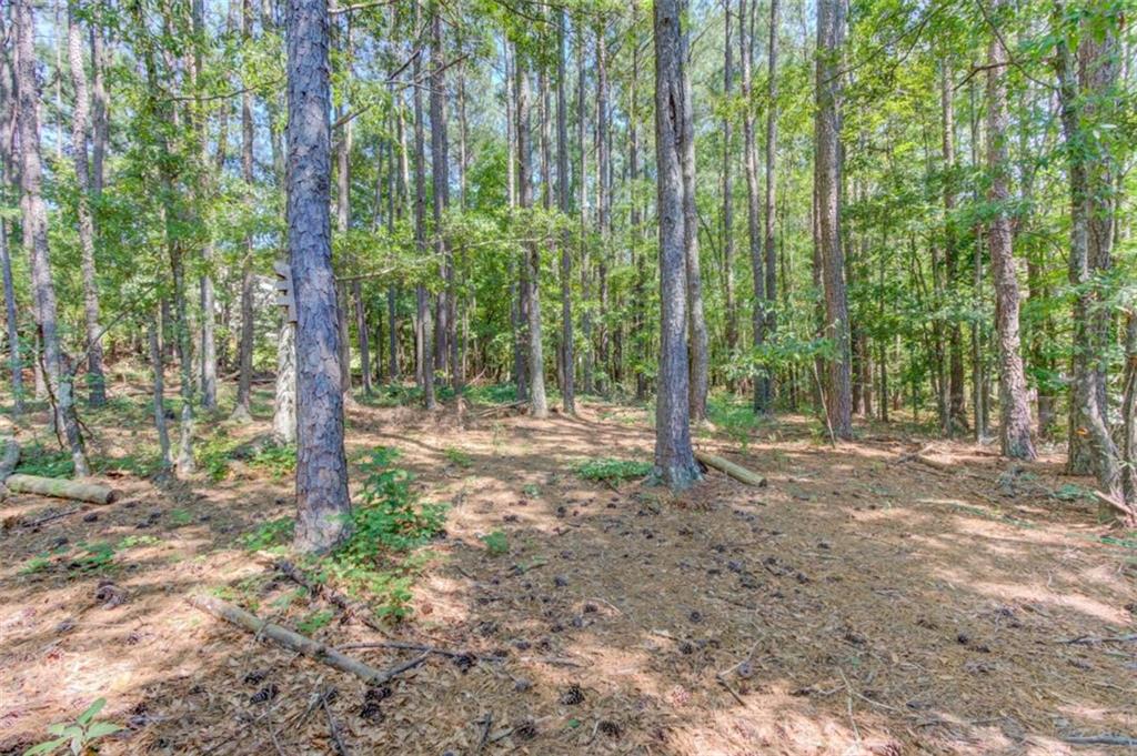 507 Marcel Park Property Photo 28