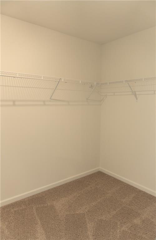 189 Hampton Hollow Drive Property Photo 57