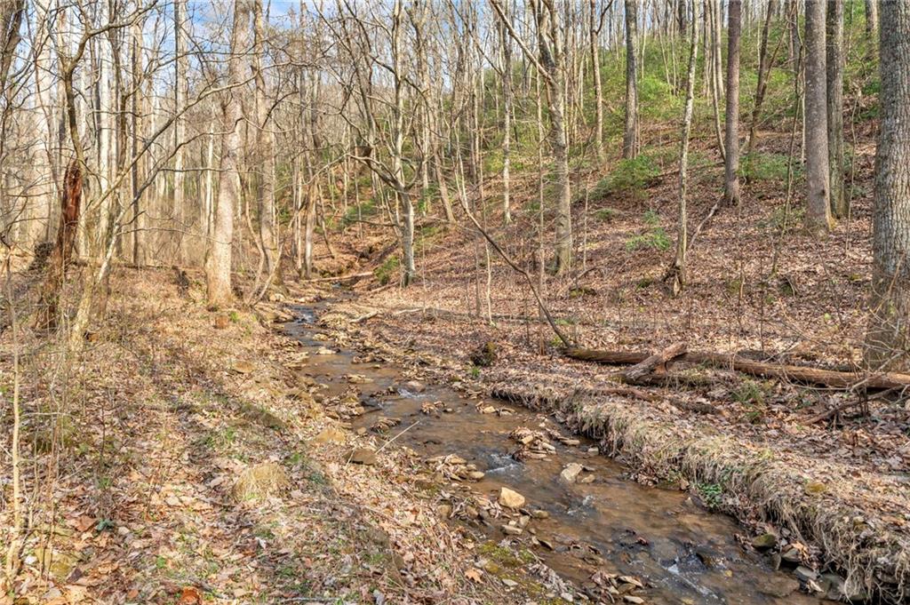 1250 Sutton Road Property Photo 49