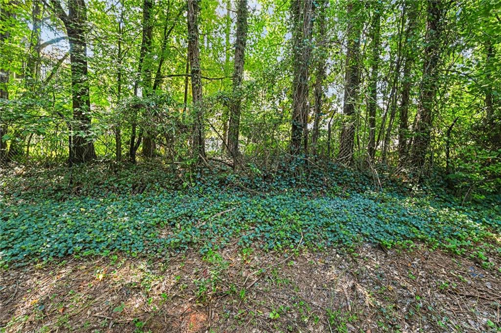 3038 Steeplechase Property Photo 40